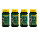 Candiplex® Strong 4 pack